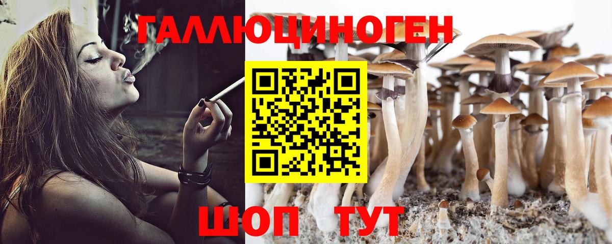Псилоцибиновые грибы прущие грибы  Вход с VPN  Дмитров  Псилоцибиновые грибы GOLDEN TEACHER 